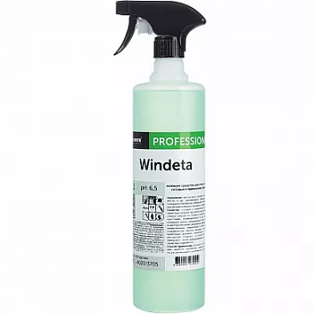 079-1 Pro-Brite Windeta Моющее средство для стёкол и зеркал, 1 л