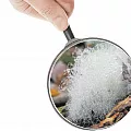 Средства от плесени Средства от плесени